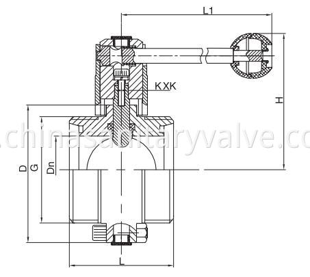 DS Sanitary Butterfly Valves Male end 